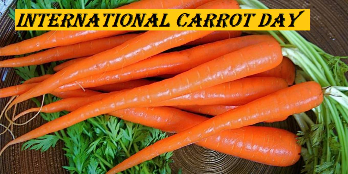  The Power of Carrots: A Nutritional Superstar 