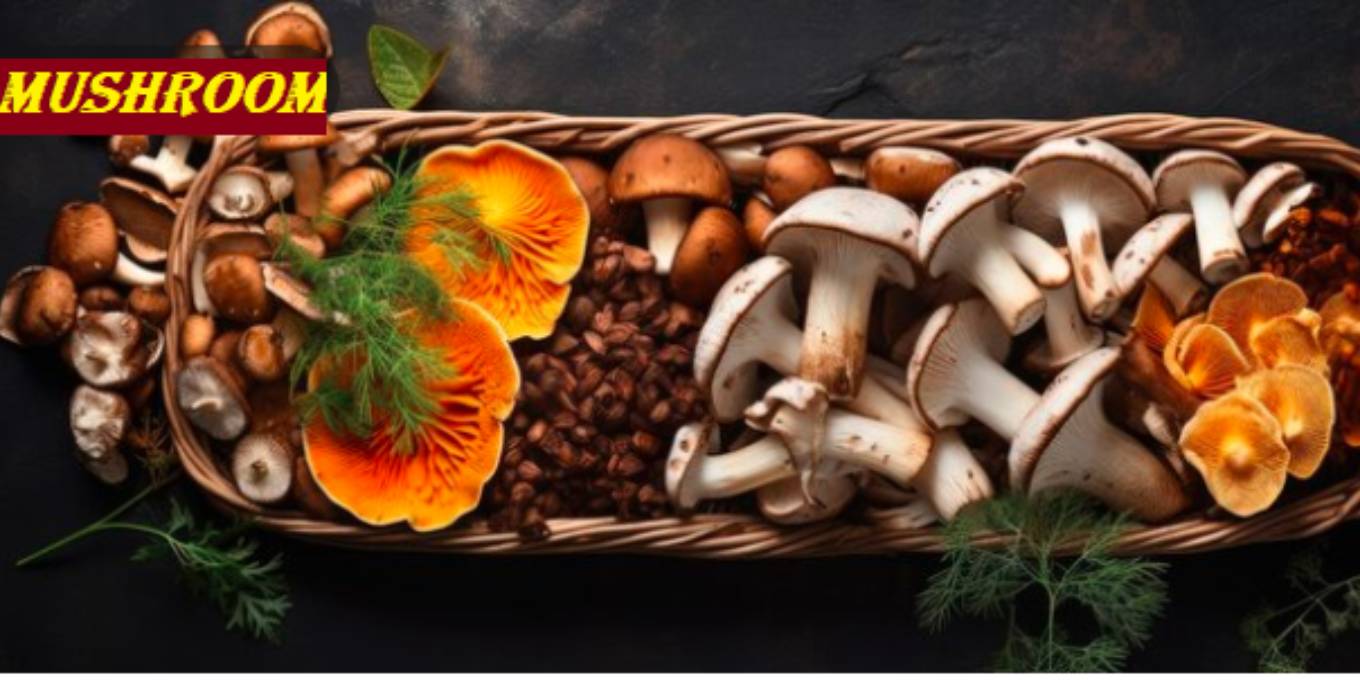 Nutritional Wonders of Mushrooms