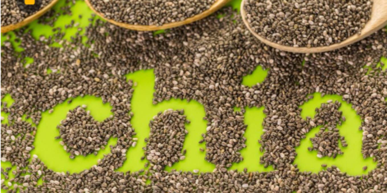 Chia Seeds: Tiny Powerhouses of Health