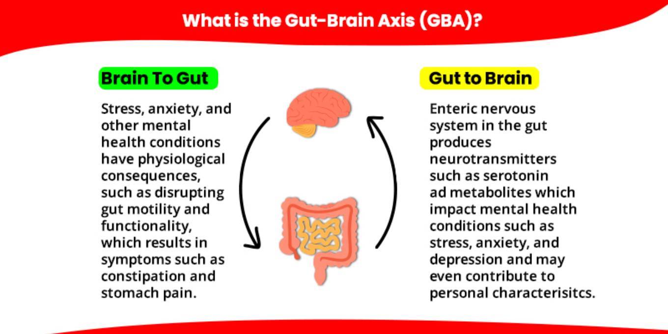 Blog Gut-Brain 2