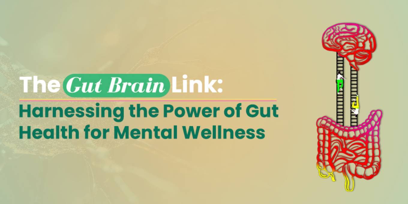 The Gut-Brain Link: Harnessing the Power of Gut Health for Mental Wellness