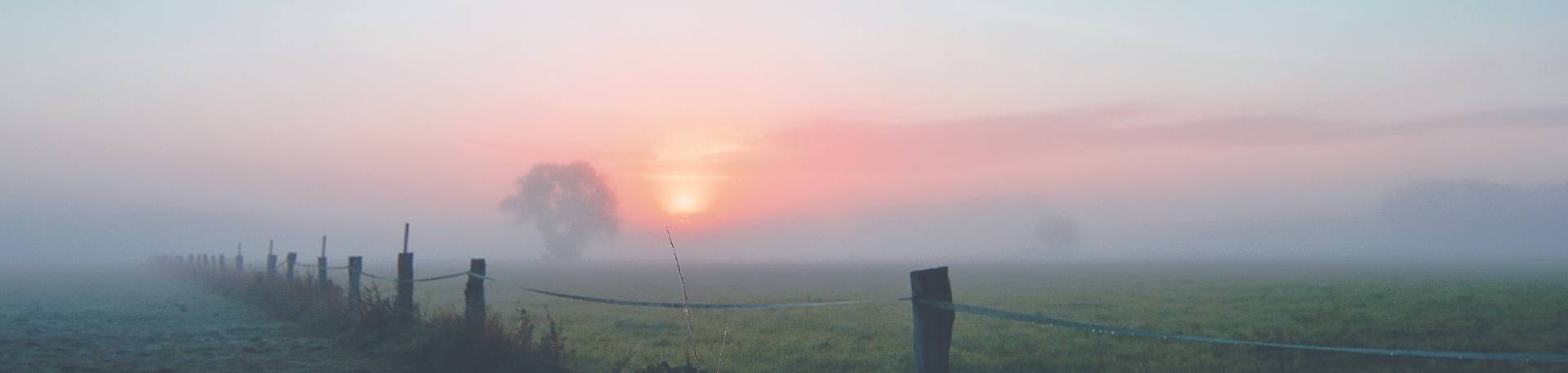 dawn