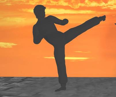 Unleash Your Inner Warrior: Dive into the World of Martial Arts Sports!